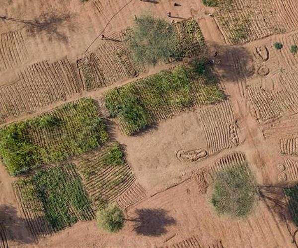 Spire soil data to support conflict early warning in Ethiopias Somali Region
