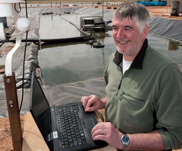 Biofuel potential from wastewater ponds