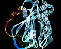 Matsushita says new DNA technology identifies disease risks