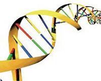 Who am I? Hunt for heritage drives Chinese to DNA tests