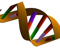Which Came First, The Chicken Genome Or The Egg Genome
