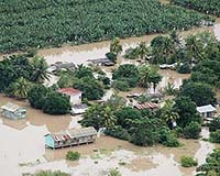 Many Environments Resilient In The Face Of Hurricanes
