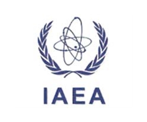 Japan should stop 'confusing messages' on Fukushima: IAEA