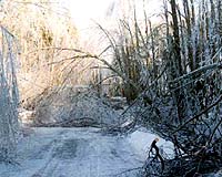 Scores Die, Crops Devastated In Harsh US Winter Storms