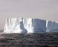 Antarctic Icebergs Act As Hotspots Of Ocean Life