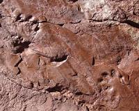Oldest footprints in Catalonia