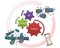 Mimicking nature for programmable and adaptive synthetic materials