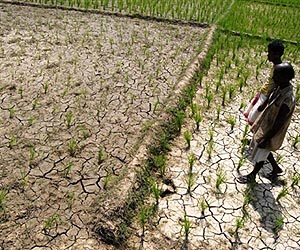 India's farmers relieved as monsoon seen 'normal' in 2010