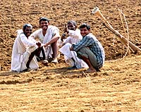 Organic Farms Provide A Clue For India's Struggling Farms