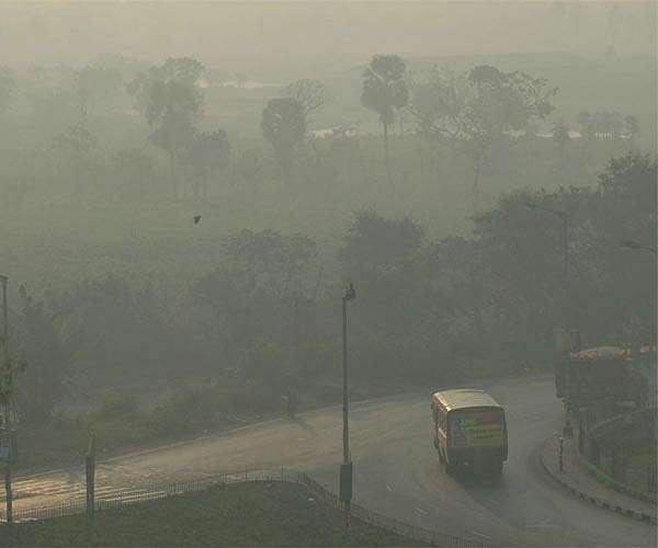 Lethal pollution high in 2020 despite lockdowns: report