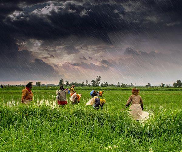 Flood-hit Asia regions saw highest November rains since 2012: AFP analysis