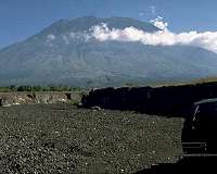 Rescuers race to save animals from Bali volcano