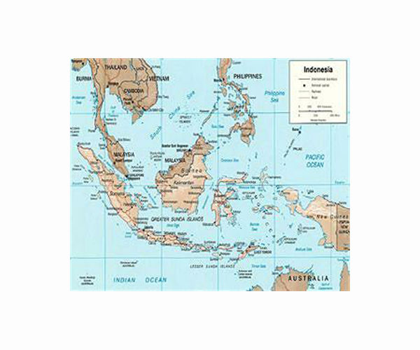 Indonesia passes law paving way for capital's move to Borneo