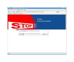 Egypt shutdown worst in Internet history: experts