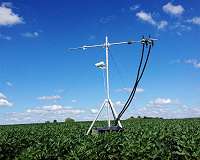 'Scaring' soybeans into defensive mode yields better plants a generation later