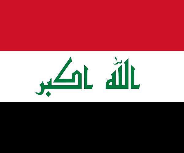 Iraqis vote in first provincial elections for a decade