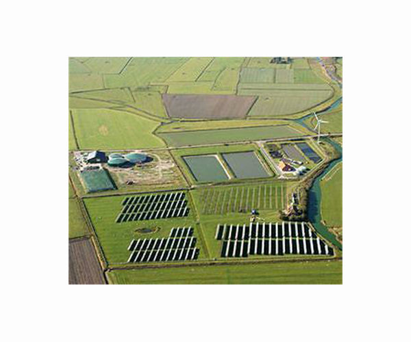 Germany to speed up green energy projects in 'gigantic' effort