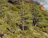 Europe beats back wildfires, fears revival