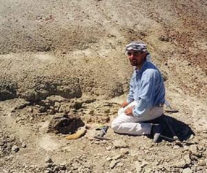 Fossil Find Puts A Face On Early Primates