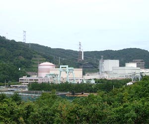 Japan nuke regulator to halt reactor restart