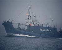 Japan to boost G8 security after whale standoff: official