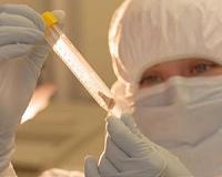 Cause of devastating pandemic revealed