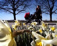 Nature Runs Riot In Europe Are Warm Winter