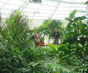 Researchers Say Children Need Horticultural Interventions