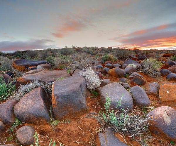 How survivors spanned the globe after Earth's biggest mass extinction