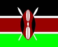 Kenya could find energy relief through domestic reserves, company says