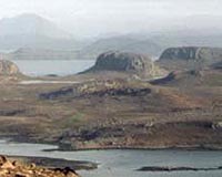Remote Sheep Population Resists Genetic Drift