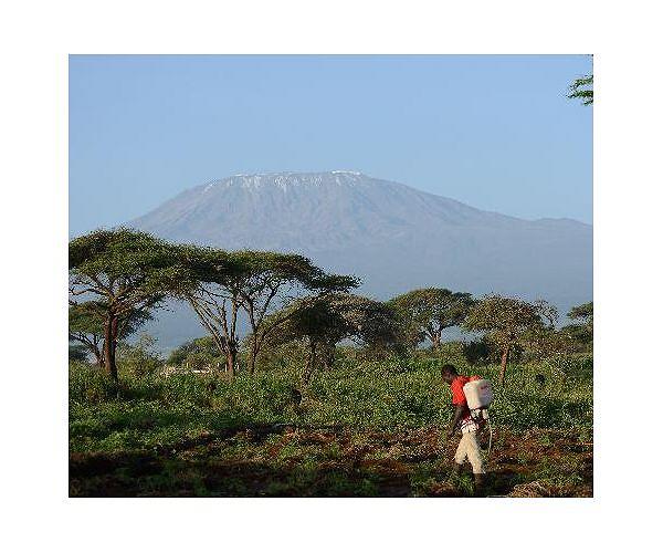 Tanzanian firefighters battle blaze on Mount Kilimanjaro