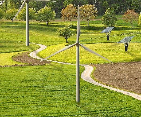 Scientists Urge Policy Changes to Enhance Biodiversity on UK Solar Farms