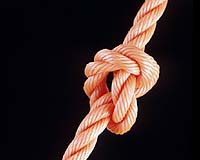 Physicists Tackle Knotty Puzzle