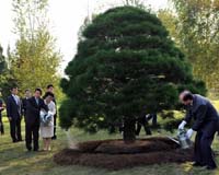 Korean leaders declare commitment to peace