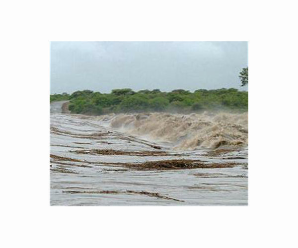 S.Africa floods kill 12, affect Kruger National Park