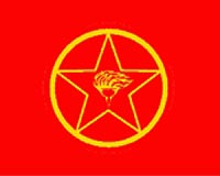 Kurdish rebels on the ropes: Turkey army chief