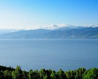 Mass seal deaths in Russia's Lake Baikal