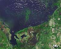 Lakes worldwide are experiencing more severe algal blooms