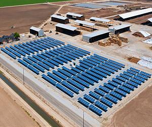 Dairy Installs 3200 Solar Panels