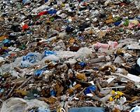 US waste driving global garbage glut: study
