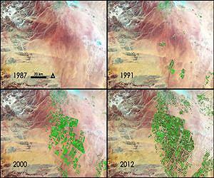NASA Sees Fields of Green Spring up in Saudi Arabia