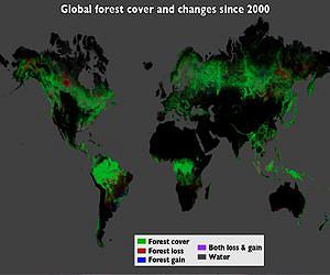 Landsat Data Yield Best View to Date of Global Forest Losses, Gains