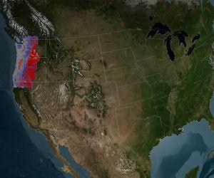 Landsat Senses a Disturbance in the Forest