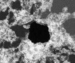 Tiny pores in graphene could give rise to membranes