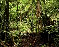 Climate control of Earth's critical zone
