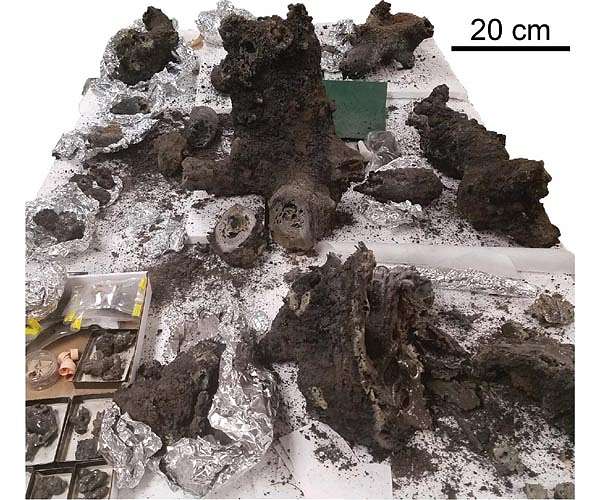 Lightning strikes played a vital role in life's origins on Earth