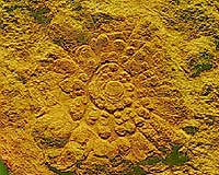 Ancient Mystery Solved
