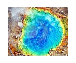 First Fossil-Makers In Hot Water