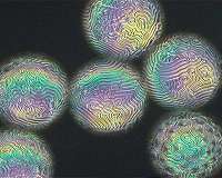 MIT team invents method to shrink objects to the nanoscale